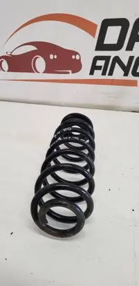 Rear coil spring