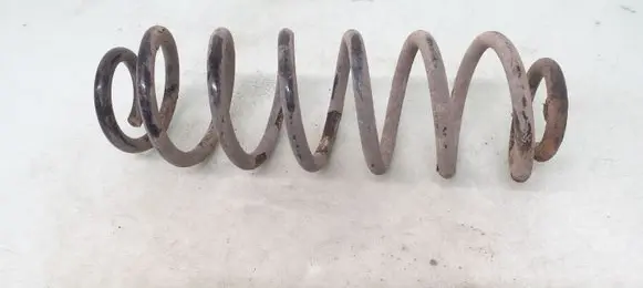 Volkswagen PASSAT B6 Rear coil spring