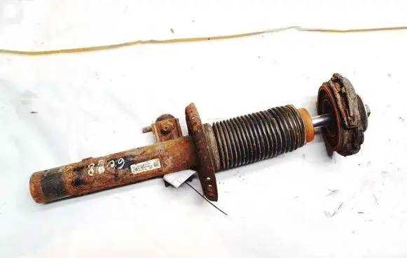 Skoda Fabia Mk1 (6Y) Front shock absorber/damper 6q0413031am