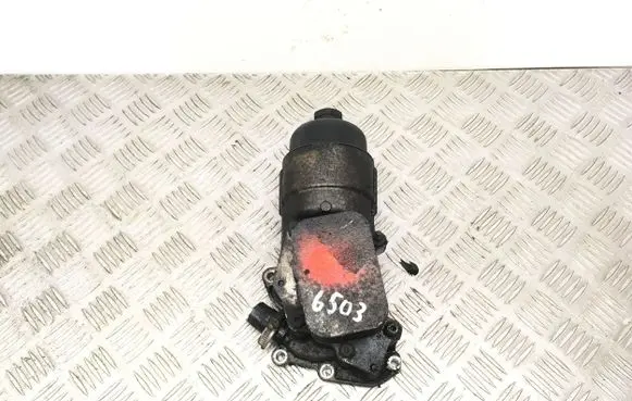 Citroen C3 Oil filter mounting bracket 9656969880 5369221105P