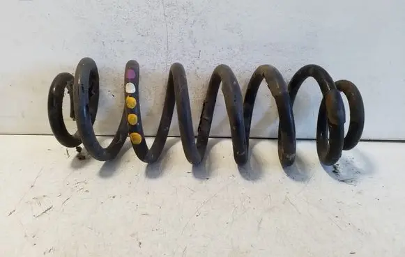 Rear coil spring