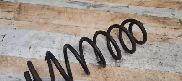 Volkswagen Fox Rear coil spring