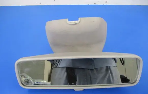 Renault Laguna II Rear view mirror (interior)