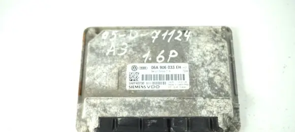 Engine control unit/module ECU