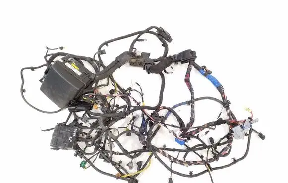 Hyundai Santa Fe Other wiring loom