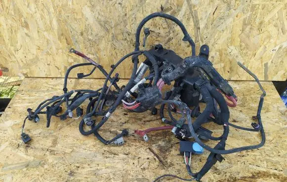 Renault Megane III Engine WIAZKA12