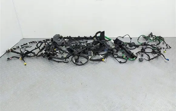 Ford Kuga III Right interior wiring harness LX6T90LL44203