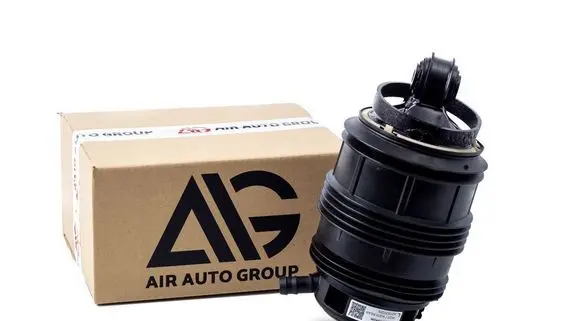 Mercedes-Benz CLS C219 Rear air suspension bag/shock absorber 211320152560 A2113200725 2113201525