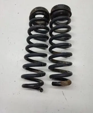 Rear coil spring