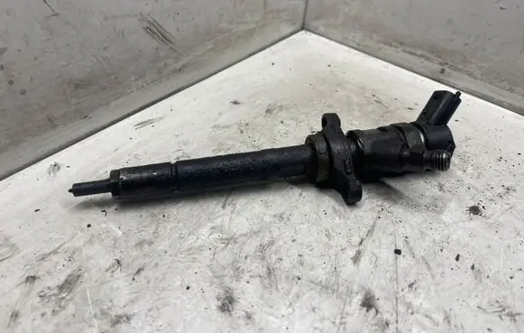 Ford Focus Fuel injector 0445110239