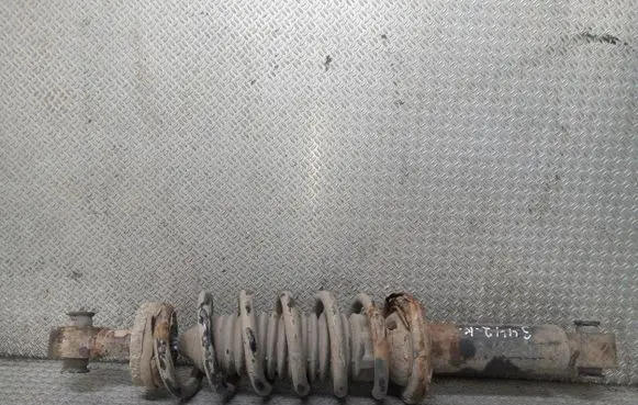 Peugeot 407 Rear shock absorber with coil spring 