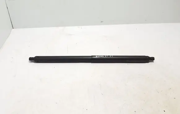 Tailgate strut