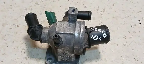 Thermostat/thermostat housing