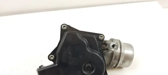 Renault Megane III Throttle valve 8200614985