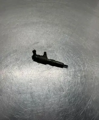 Citroen Berlingo Fuel injector 0445110340