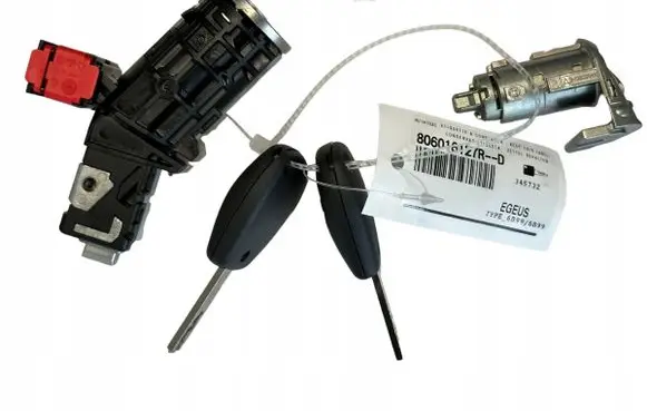 Renault Trafic III (X82) Ignition lock 806016127R