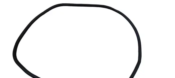 Ford Edge II Front door rubber seal