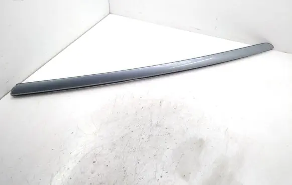 Citroen DS5 Windshield trim 9687247980