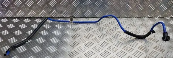 Ford Ecosport Vacuum line/pipe/hose CN159K313AE