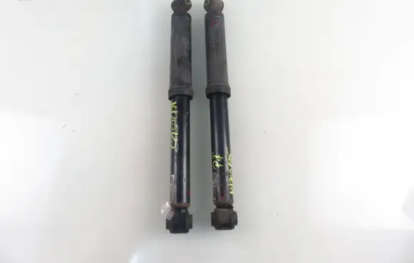 Citroen C3 Rear shock absorber/damper 9673896880