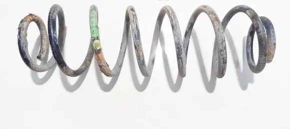 Rear coil spring
