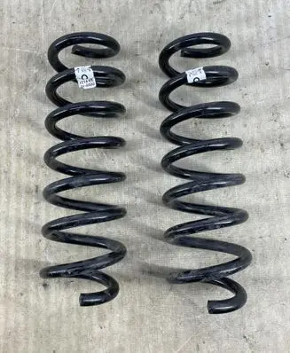 Rear coil spring