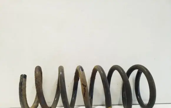 Ford S-MAX Rear coil spring