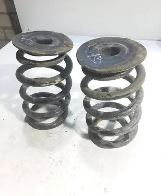 Rear coil spring