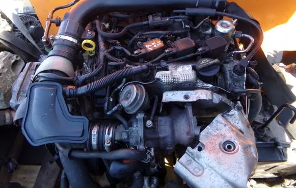 Ford Focus Engine M1DD M1DC