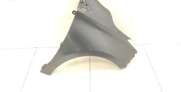 Renault Zoe Fender