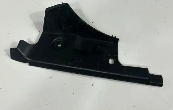 Rear/tail light trim molding