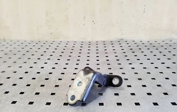 KIA Soul Rear door lower hinge