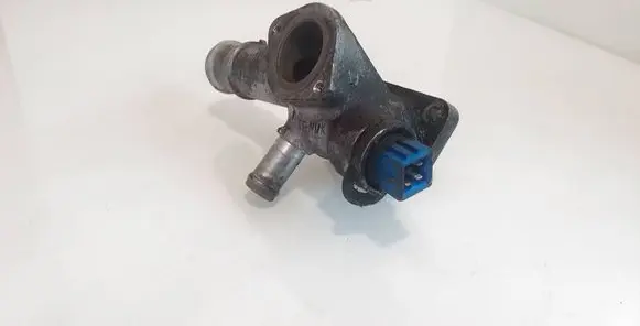 Volkswagen PASSAT B5 Engine coolant pipe/hose 038121133A