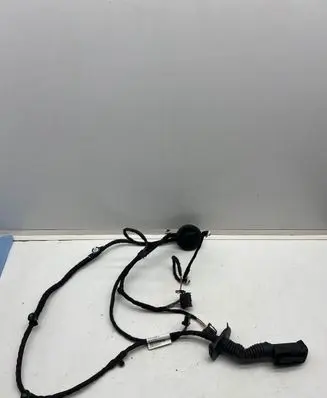 Rear door wiring loom