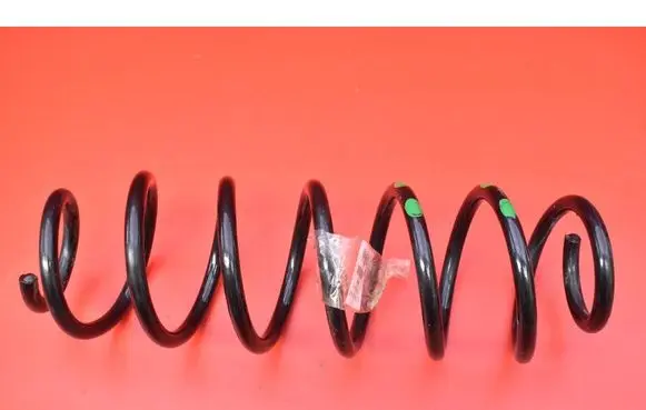 Rear coil spring
