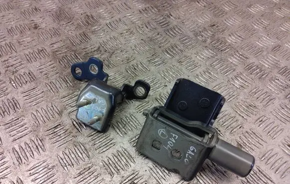 Renault Zoe Rear door hinge set 