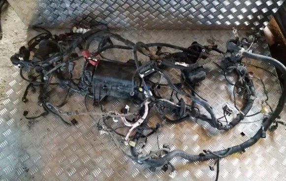 Toyota Land Cruiser (J120) Engine installation wiring loom 821216A702