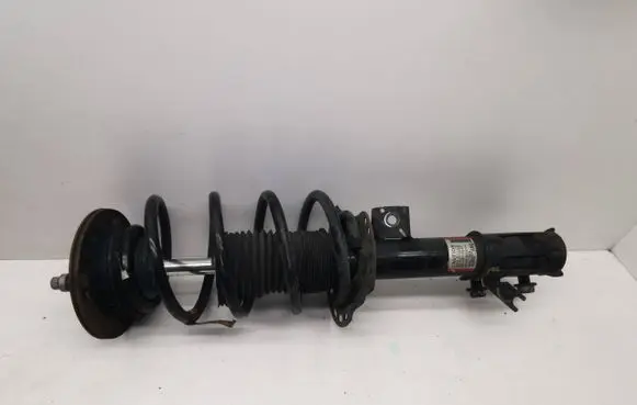 Ford Edge II Front shock absorber with coil spring K2GC18045
