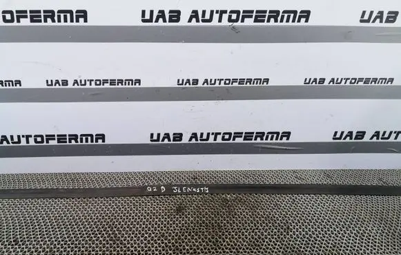 Audi Q2 - Front door rubber seal 81A839119