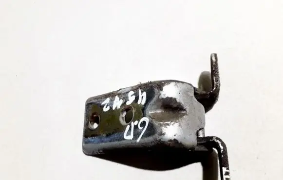 Rear door lower hinge