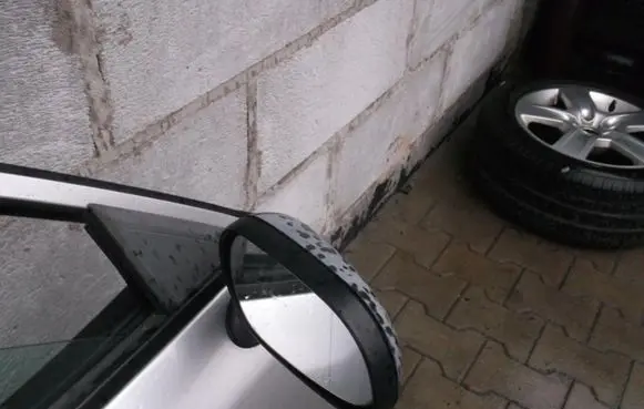 Mitsubishi Carisma Front door electric wing mirror