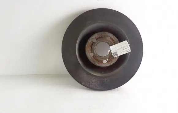 Ford Mustang Mach-E Front brake disc LJ9C1125ENB