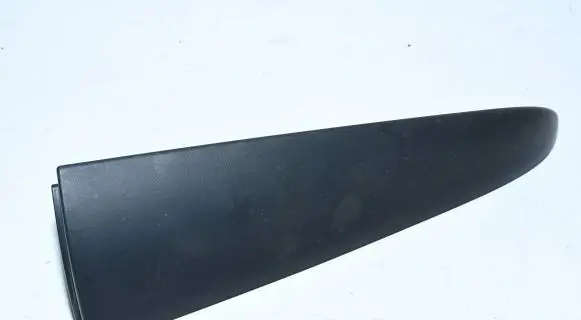 Rear door trim (molding)