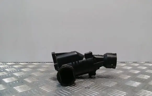 Thermostat/thermostat housing