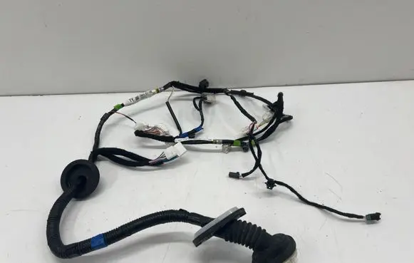 Front door wiring loom