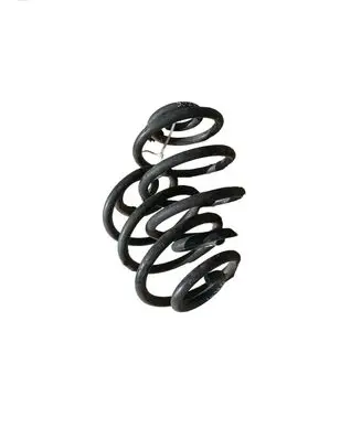 Rear coil spring