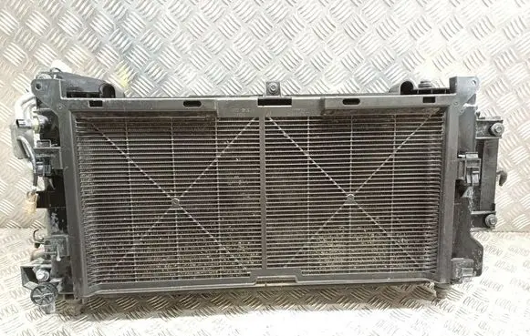 Nissan Leaf I (ZE0) Coolant radiator 214813NL0B