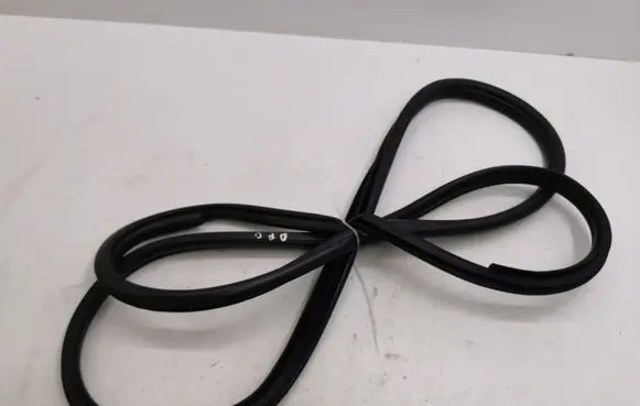 Lexus NX Rear door rubber seal (on body) 