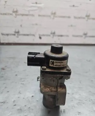 Ford Focus C-MAX EGR valve 724809730