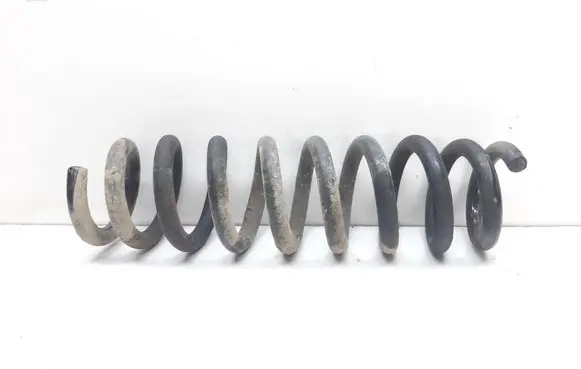 Rear coil spring